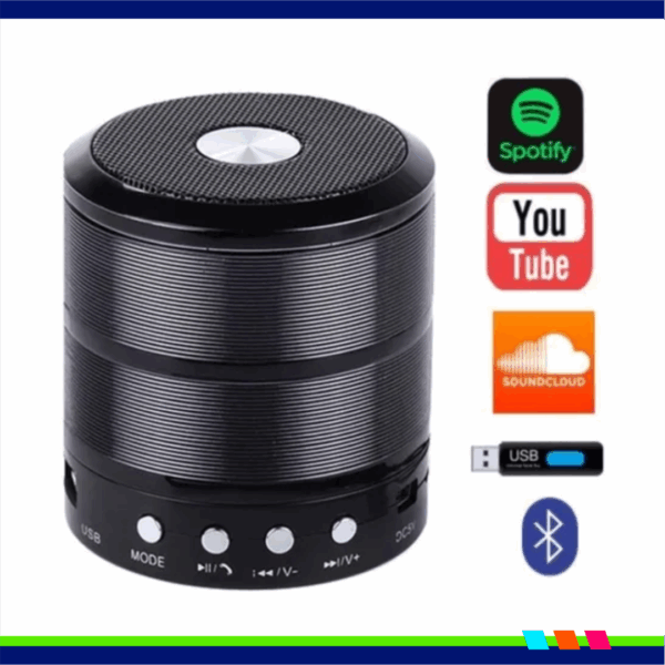 CAIXA DE SOM WS 887